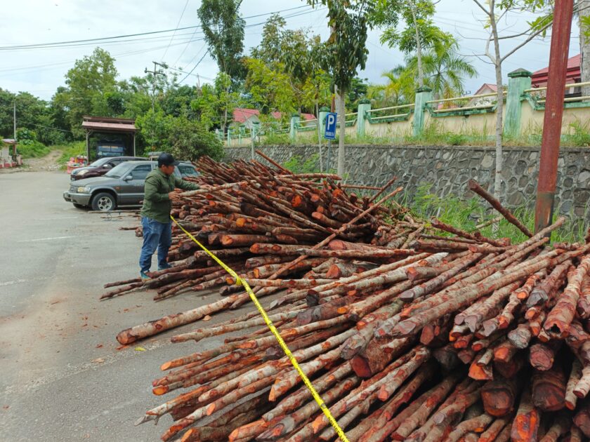 WhatsApp Image 2025-05-14 at 17.21.54