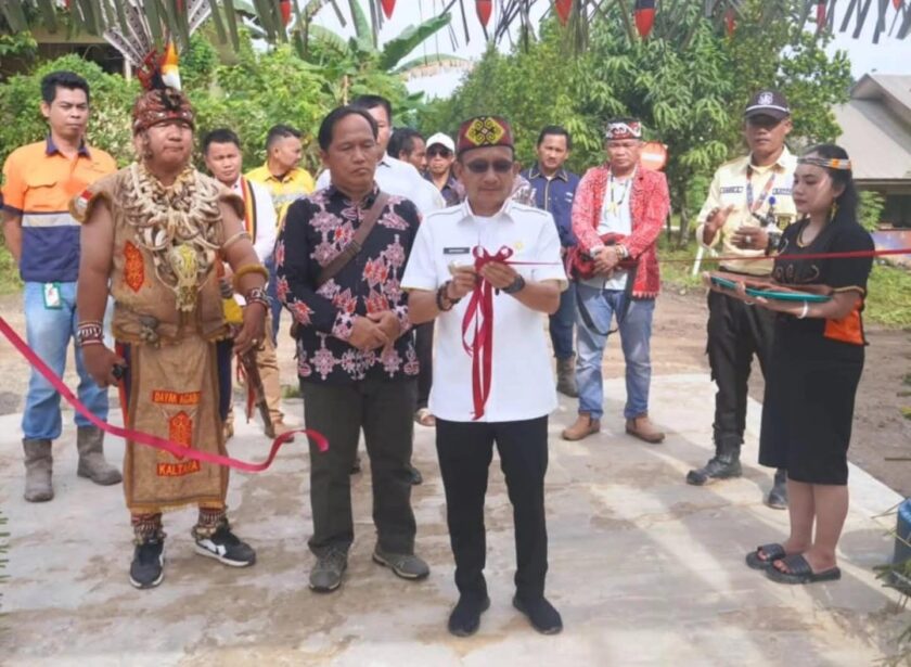 WhatsApp Image 2025-05-14 at 19.35.50