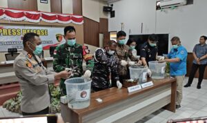 WhatsApp Image 2026-02-03 at 14.26.22