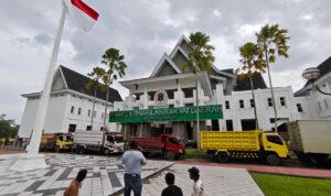 WhatsApp Image 2026-02-17 at 22.40.15