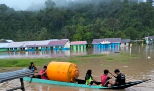 WhatsApp Image 2026-02-25 at 19.52.08