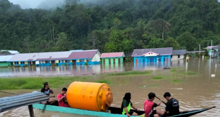 WhatsApp Image 2026-02-25 at 19.52.08